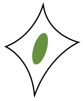 Kinesiologi logotype, ett registrerat varumärke 